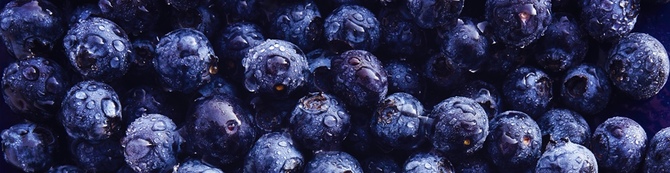 Blueberries